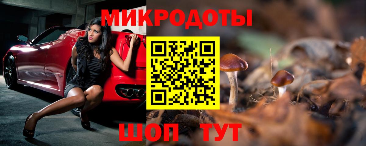 Галлюциногенные грибы мицелий Изобильный