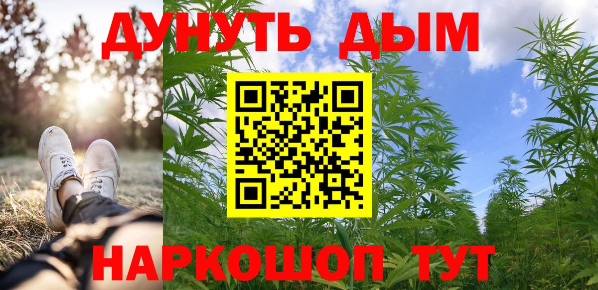 Шишки марихуана AK-47 Изобильный